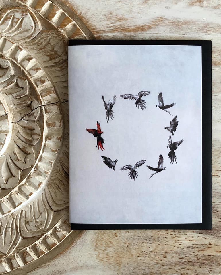 Carte - Cercle des oiseaux T03