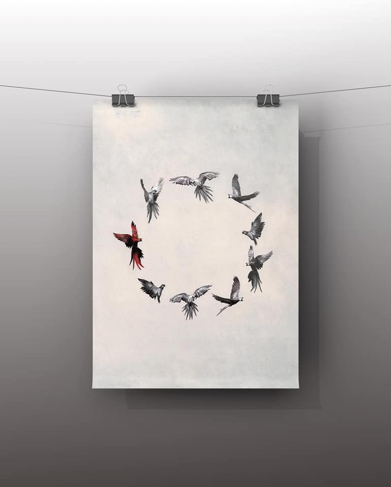 Illustration- Cercle des oiseaux T03