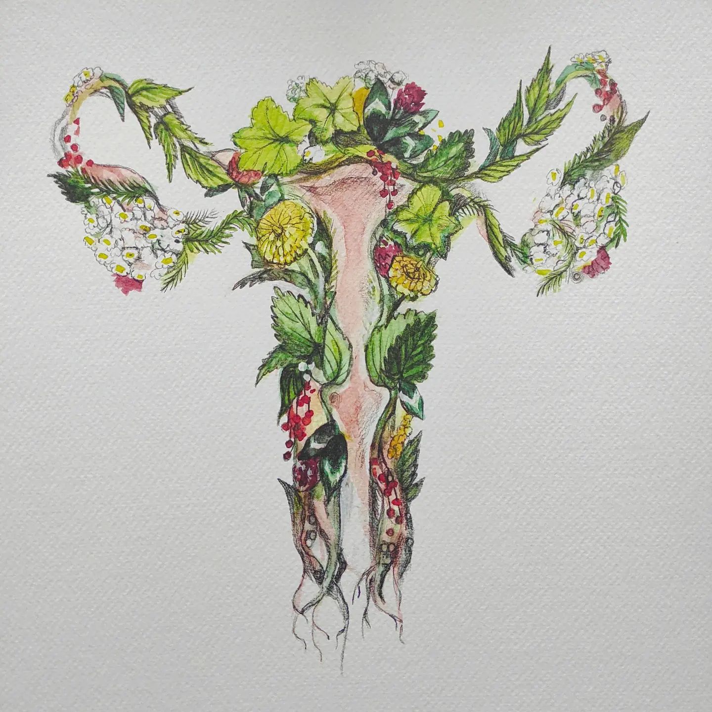 Atelier - Herboristerie féminine