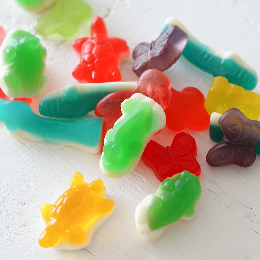 Bonbons - Animaux exotiques - 150g