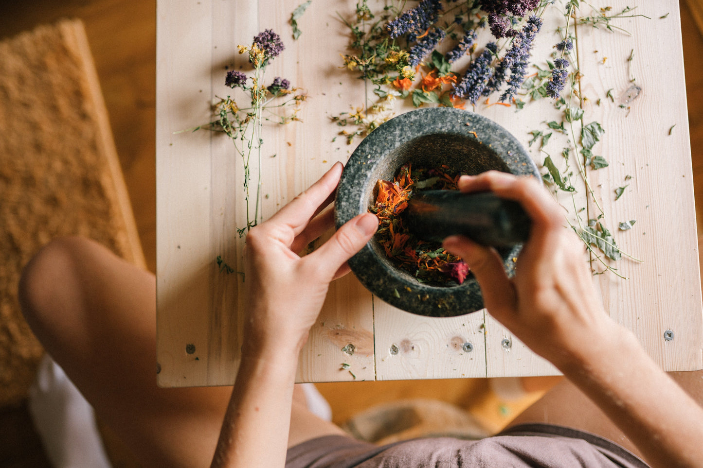 Atelier - Introduction aux plantes médicinales - Cueillette et transformation - Niveau 1