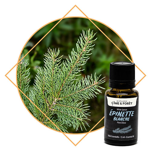 Huile essentielle - Épinette blanche - 15ml