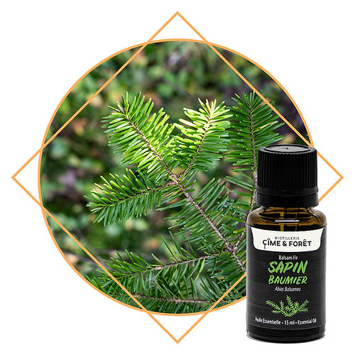 Huile essentielle - Sapin baumier - 15ml