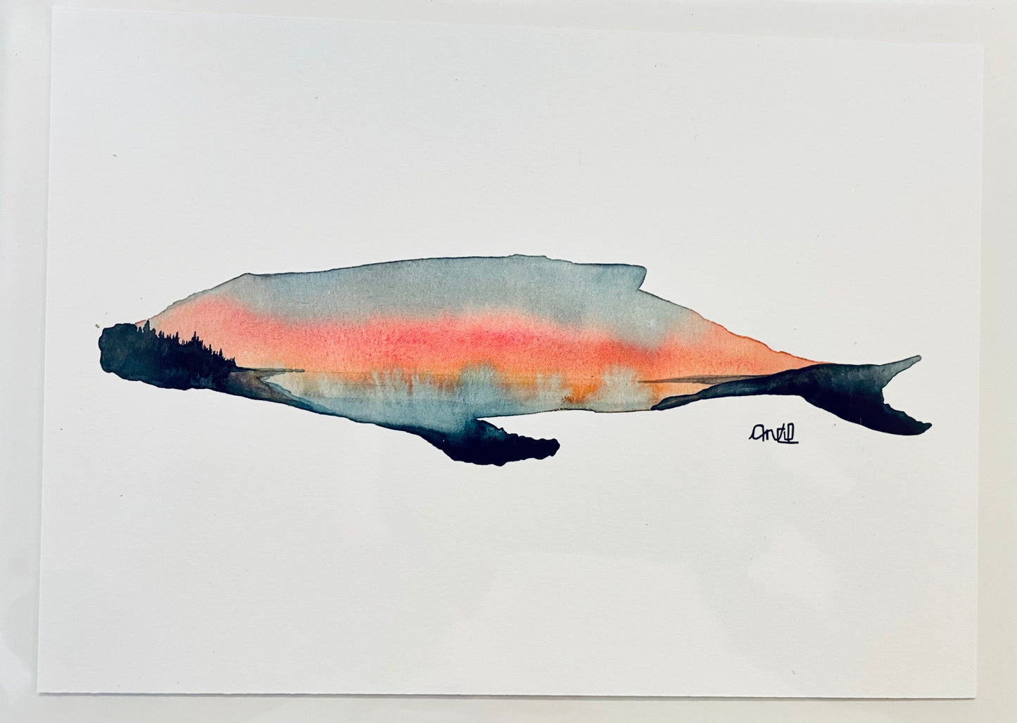 Atelier - Peinture à l'aquarelle - Ciel et paysage