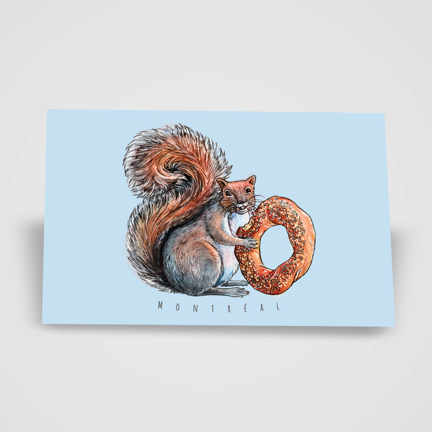 Carte postale - Écureuil bagel