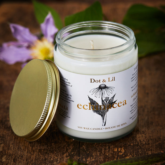 Bougie - Echinacea - Fleur sauvage