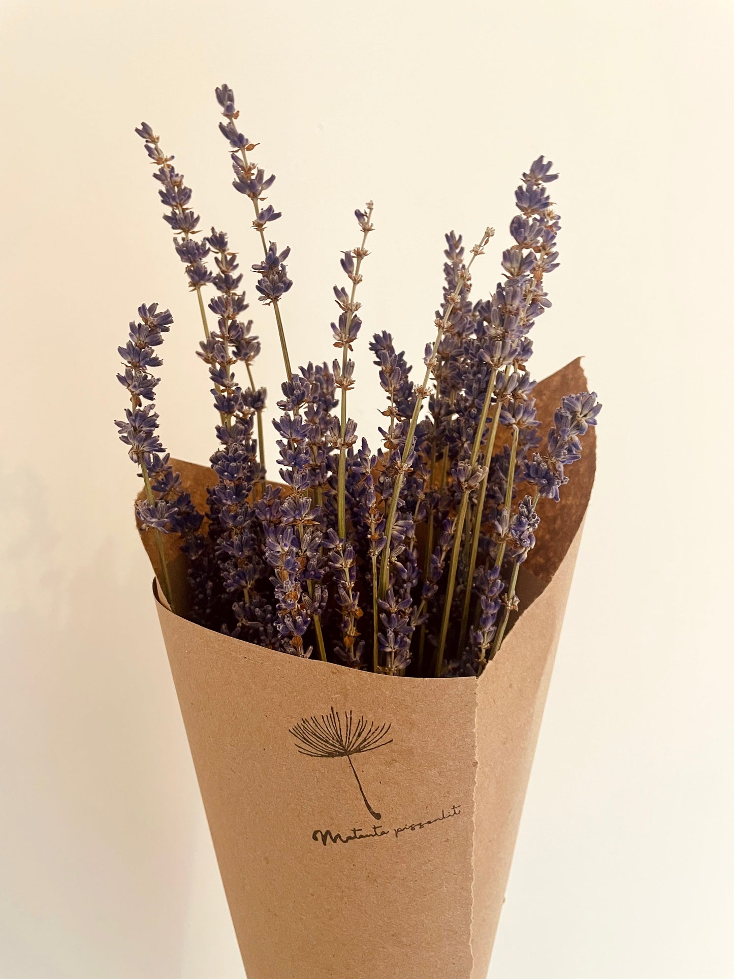 Lavande séchée - Bouquet