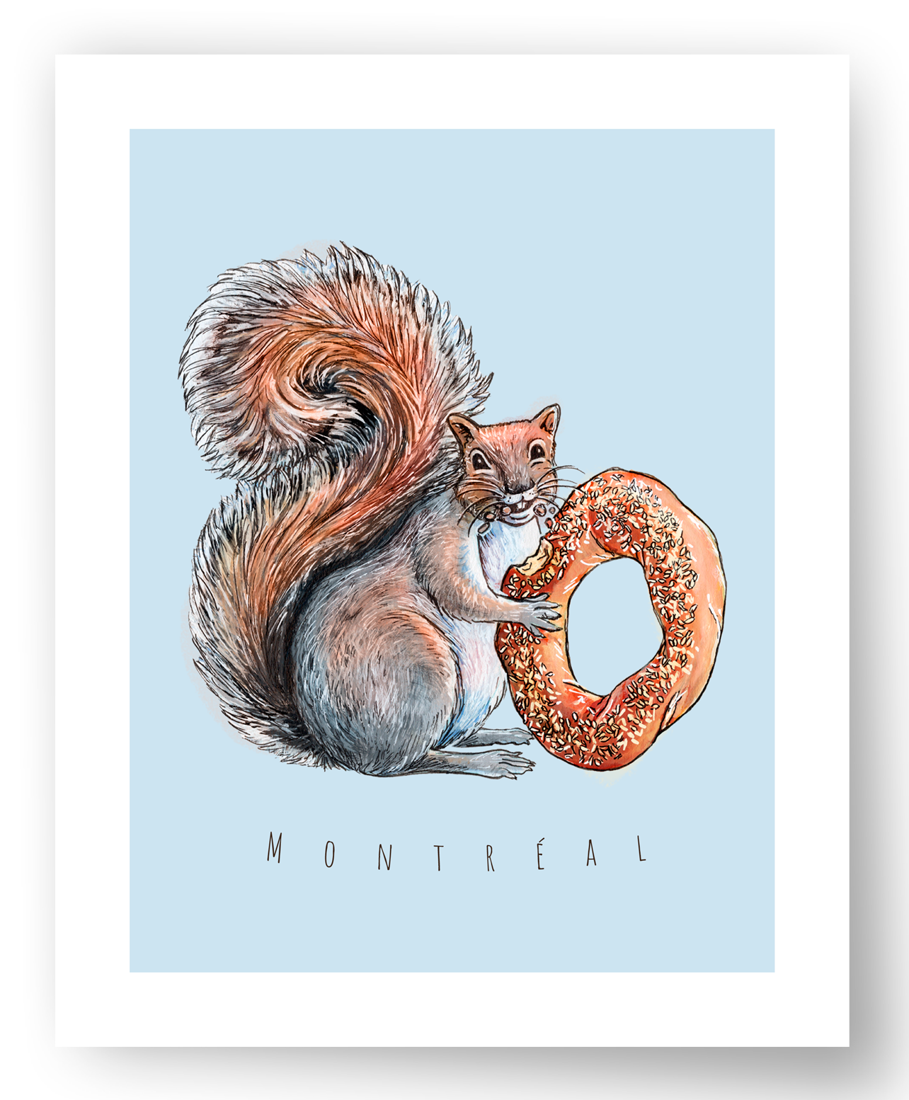 Illustration - Écureuil - 8x11