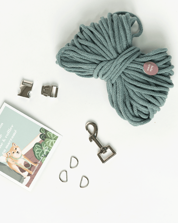 Coffret DIY - Fabrication collier et laisse pour chien