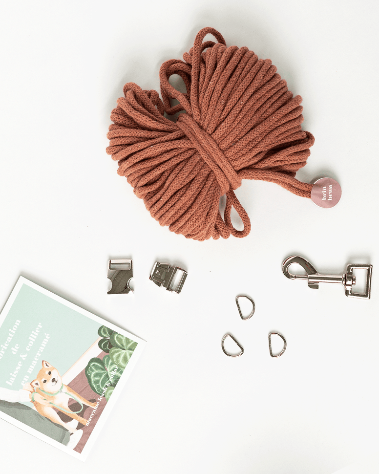 Coffret DIY - Fabrication collier et laisse pour chien