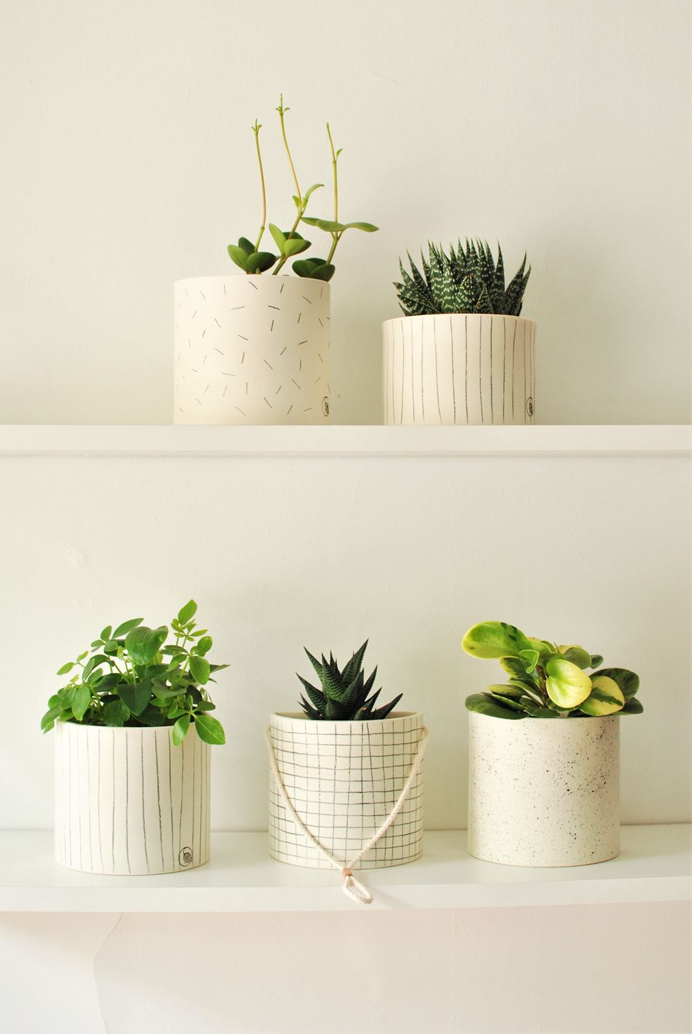 Pot suspendu - Demi-lune murale - Ondes