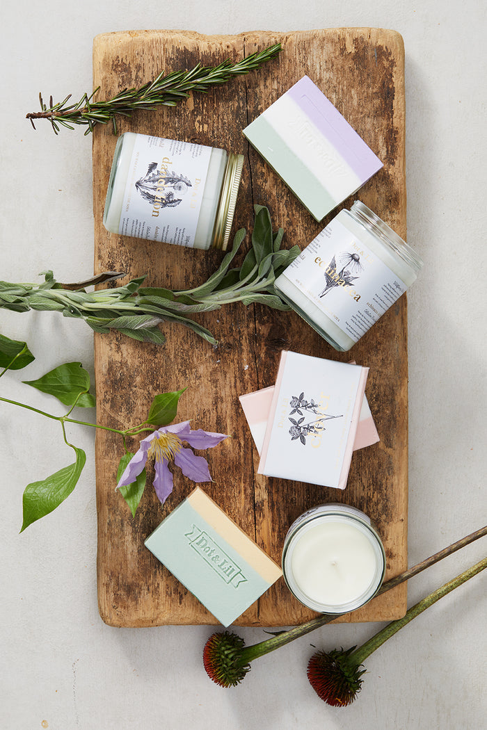 Bougie - Echinacea - Fleur sauvage