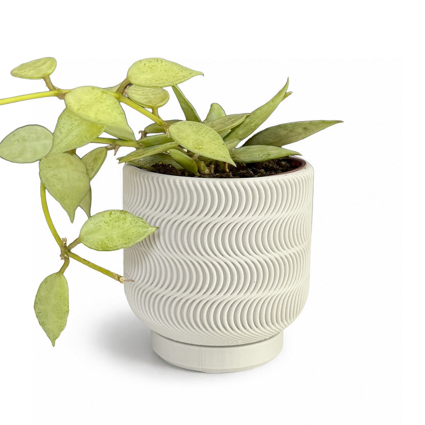 Pot plante 2,5 rond - impression 3D - plastique végétal