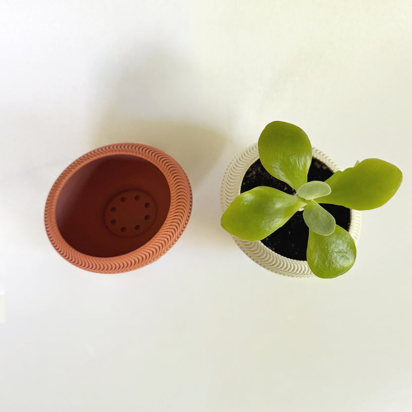 Pot plante 2,5 oval - impression 3D - plastique végétal