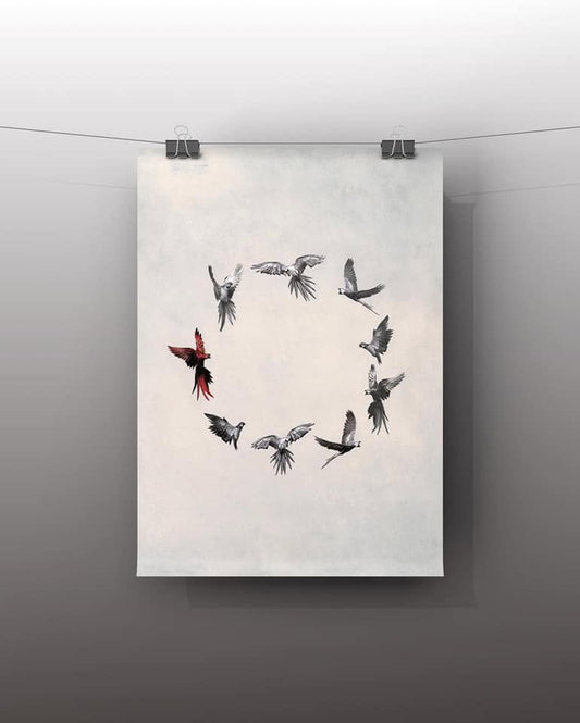 Illustration- Cercle des oiseaux T03