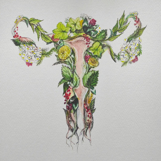 Atelier - Herboristerie féminine