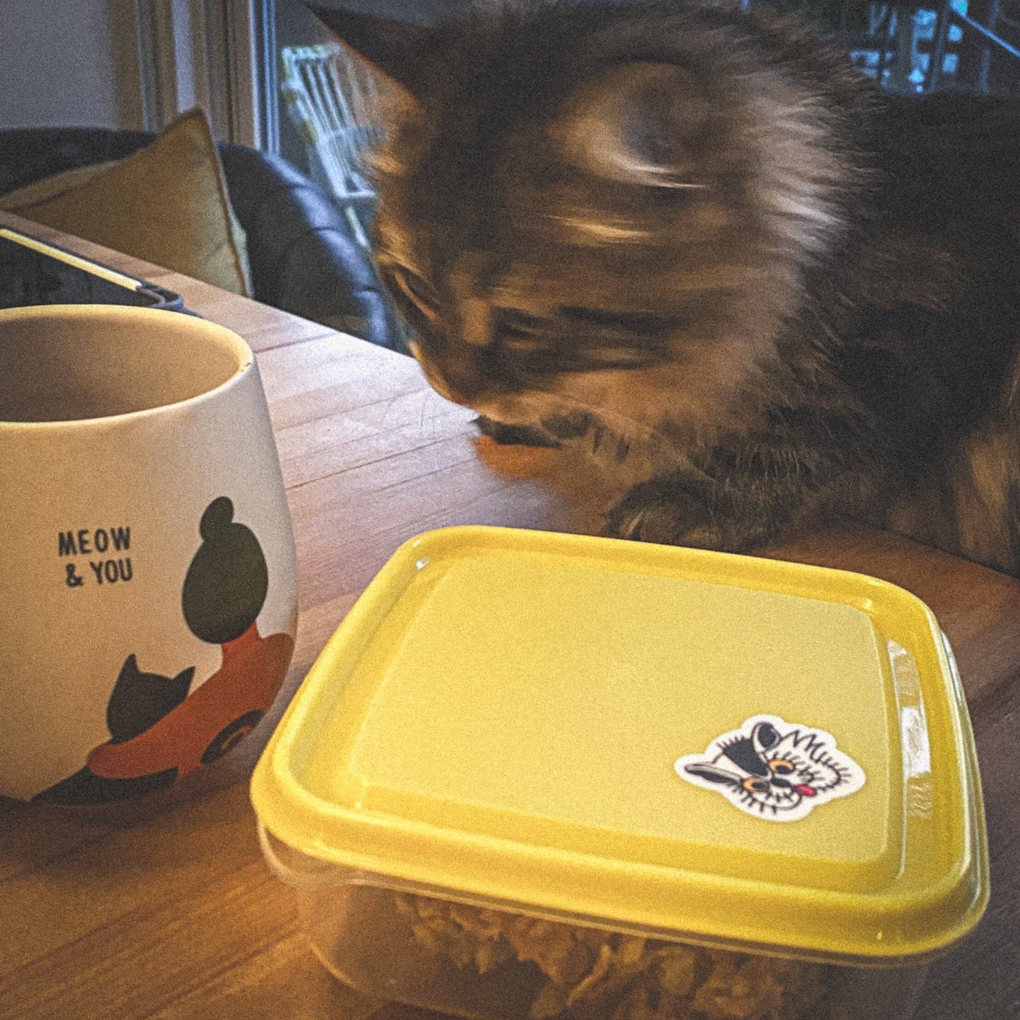 Autocollants Les chats