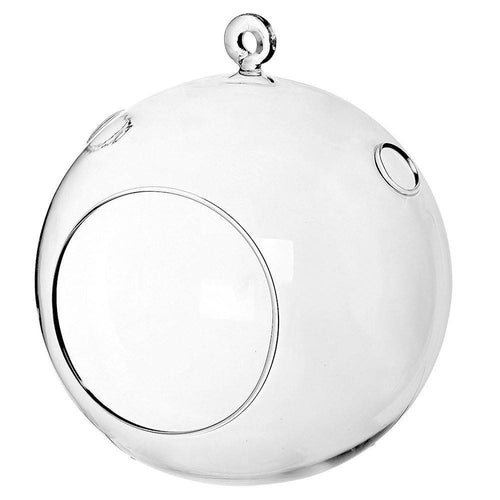 Pot plante - boule de verre - terrarium 6"