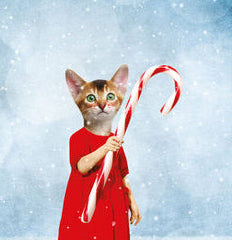 Carte - Joyeux Noël - Chat canne
