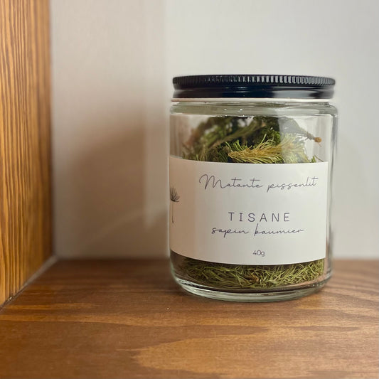 Tisane - Sapin baumier