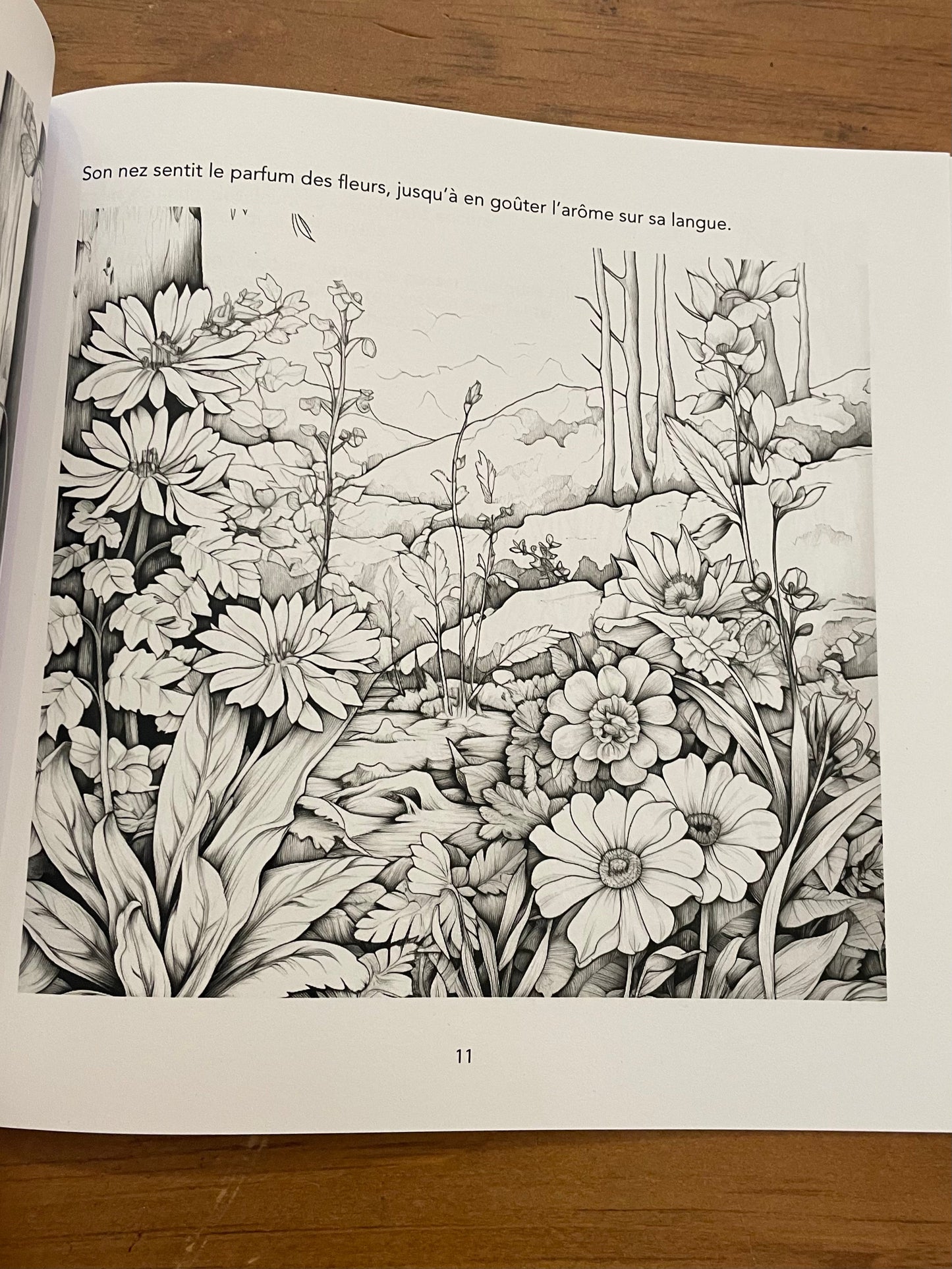 Le secret du jardin de la pleine conscience - cahier à colorier