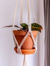 Jardinière - Macramé