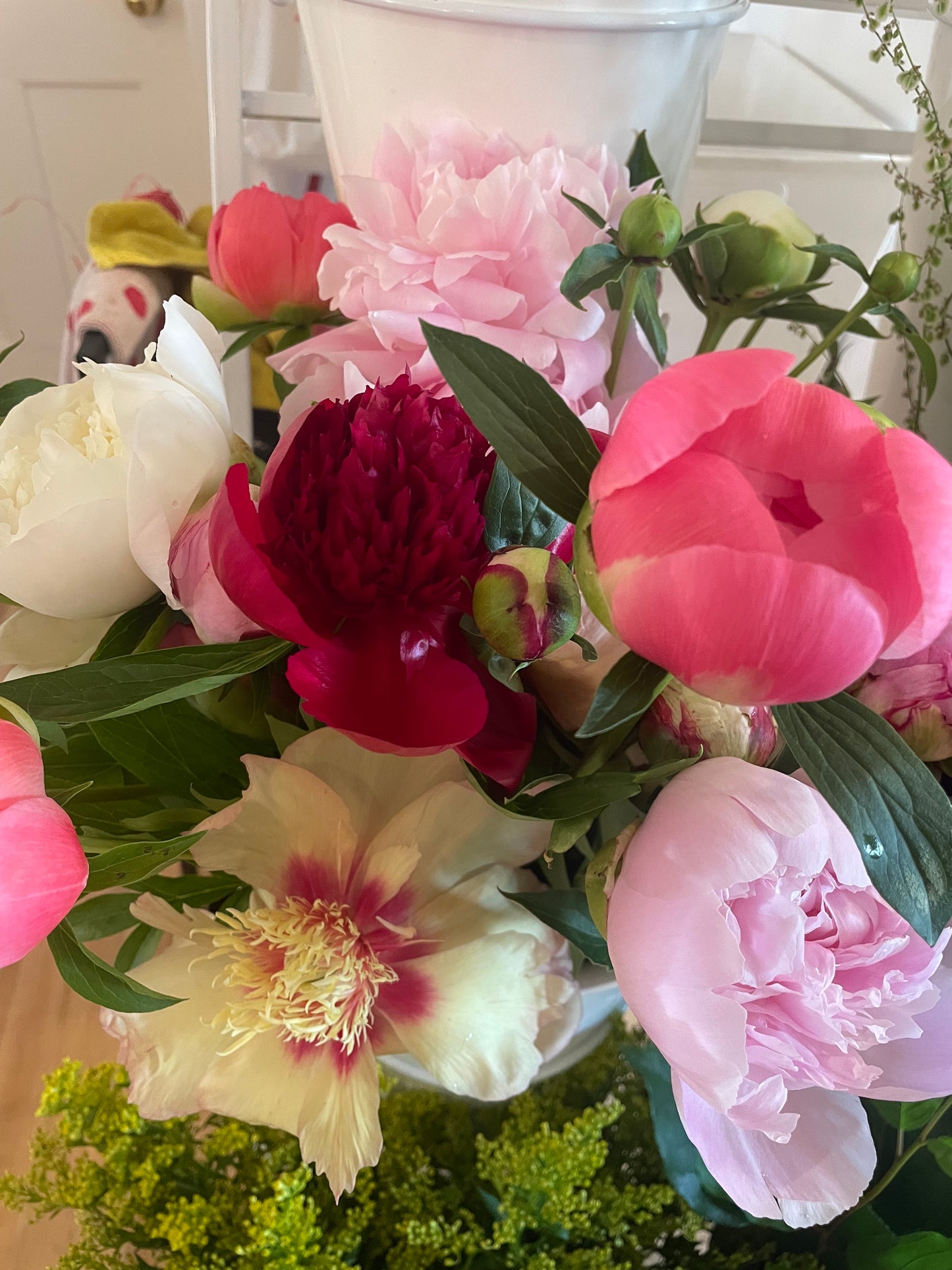 Abonnement Floral - 6 bouquets