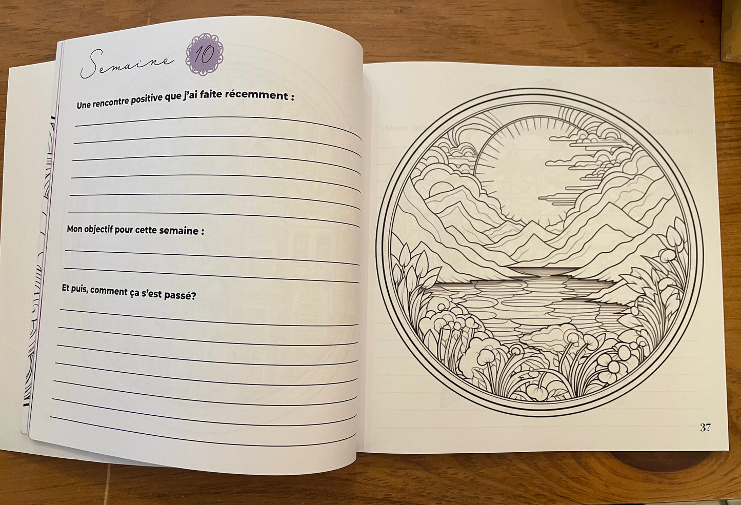 Un voyage à travers les mandalas du bien-être - cahier à colorier